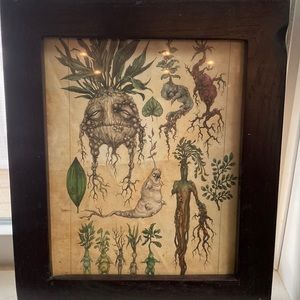 Mandrake poster framed in handmade wood frame😍